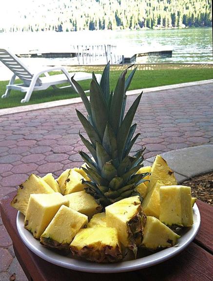 995821_472353926172044_304348979_nb