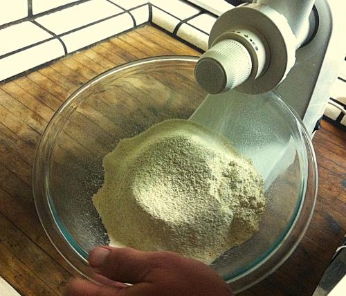 Filoli and Pot Stickers 214