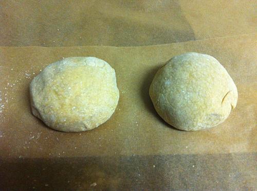 Filoli and Pot Stickers 244