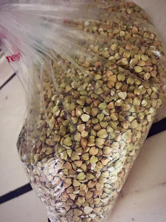 12108045_10153627728893972_6270267627485099535_n